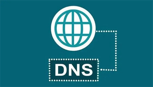 DNS服务器设置在哪